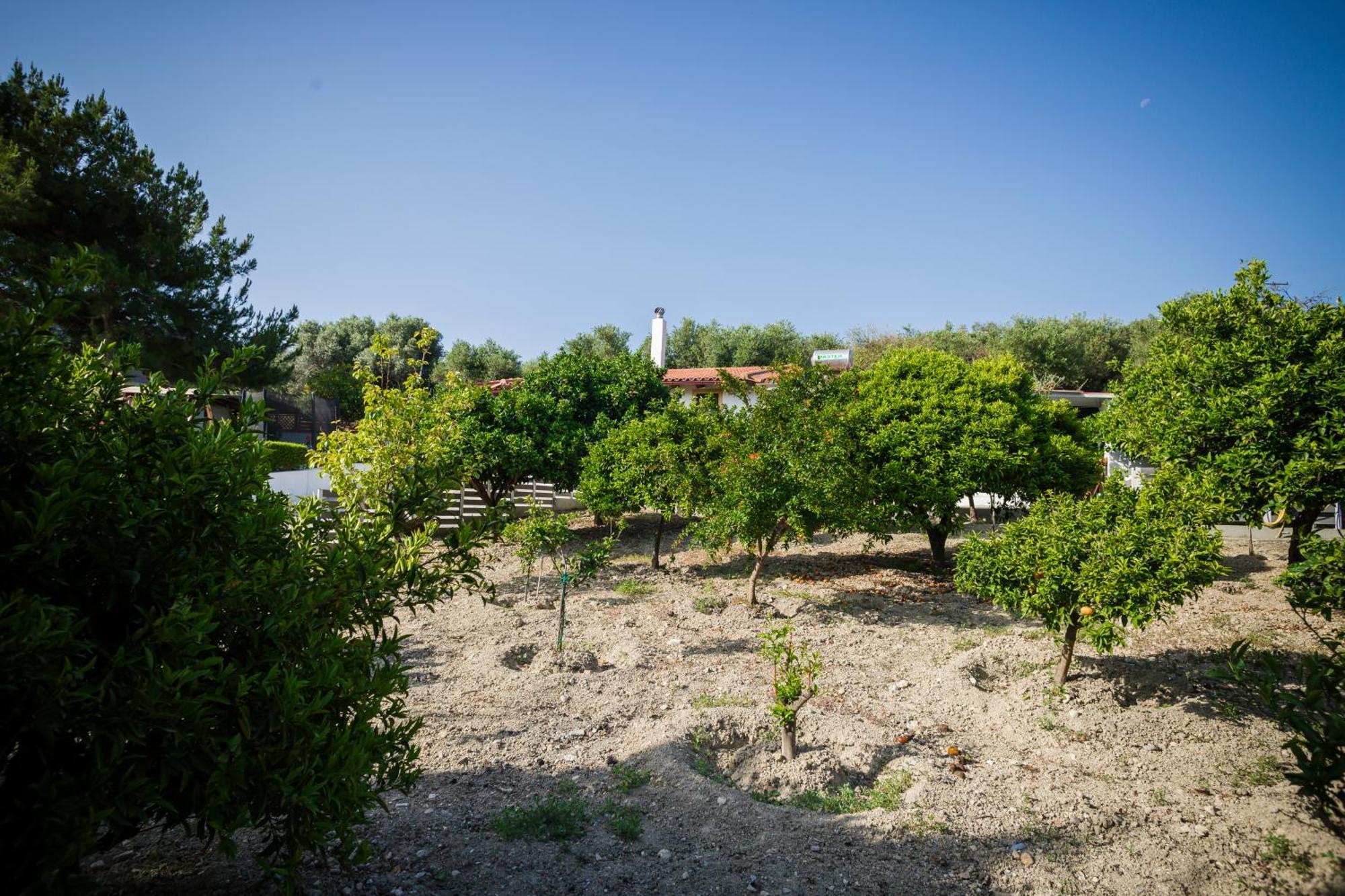 Villa Metochi Rethymno  ภายนอก รูปภาพ
